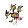 Dodrio Dodrio