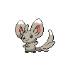 Minccino