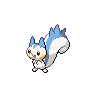 Pachirisu Pachirisu