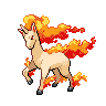 Rapidash Rapidash