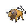 Tauros Tauros