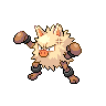 primeape primeape