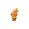 torchic