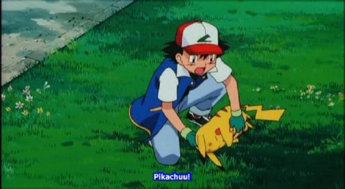 229